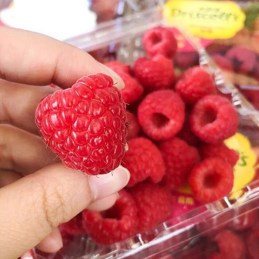 Driscoll’s 怡颗莓 云南新鲜树莓（盒） 商品图2