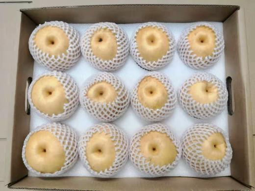 南阳市南召县小空山有机黄金梨和有机圆黄梨 商品图4