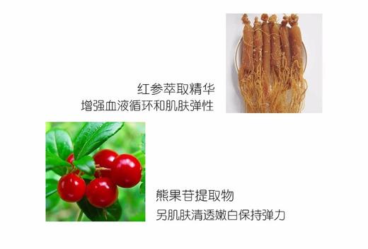 It'S SKIN 伊思 红参伊思蜗牛霜JPY带授权招加盟代理 商品图3