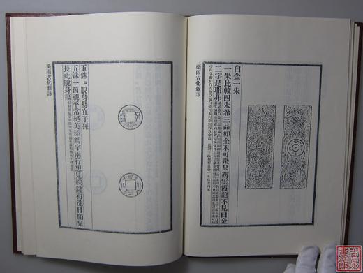 《药雨古化杂咏》全一册 商品图4