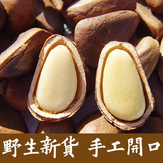 丨有机丨开口松子及有机松子仁 250g每罐 坚果 商品图3