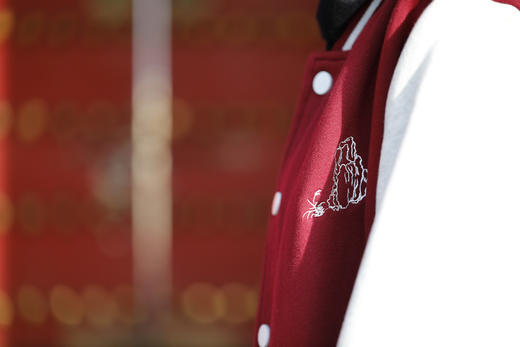 四大名著棒球服·这个妹妹我见过 商品图5