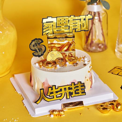 家里有矿 商品图0