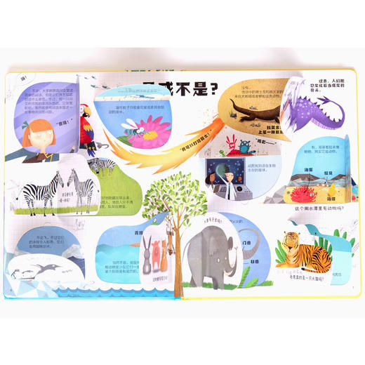 你问我答科普翻翻书·W系列 动物 尤斯伯恩 科普百科 商品图2
