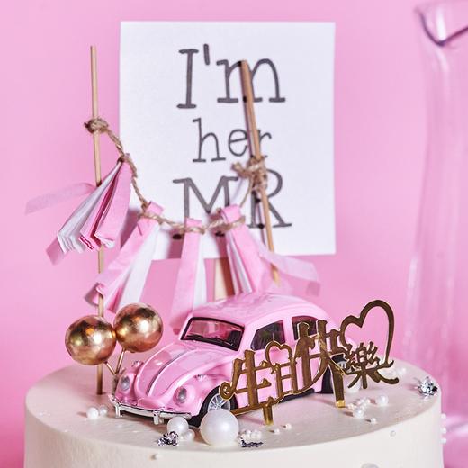 甲壳虫香车 商品图1