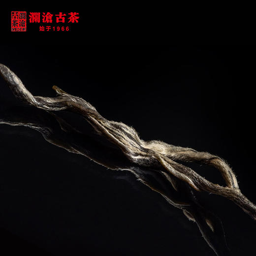 澜沧古茶2014年冰岛古树生茶纯料普洱茶生普茶叶50g藏养装 商品图1