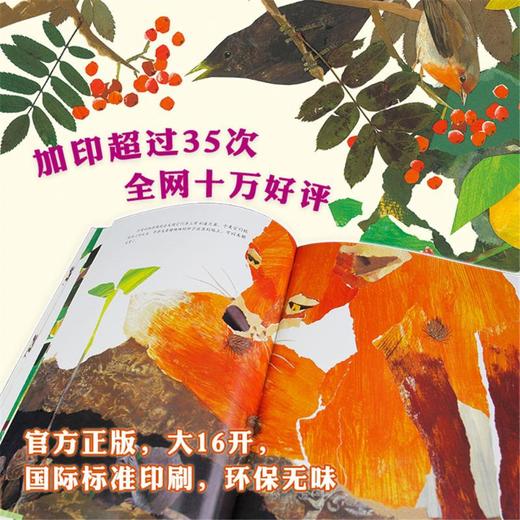 一粒种子的旅行(2册) 商品图2