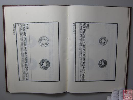 《药雨古化杂咏》全一册 商品图3