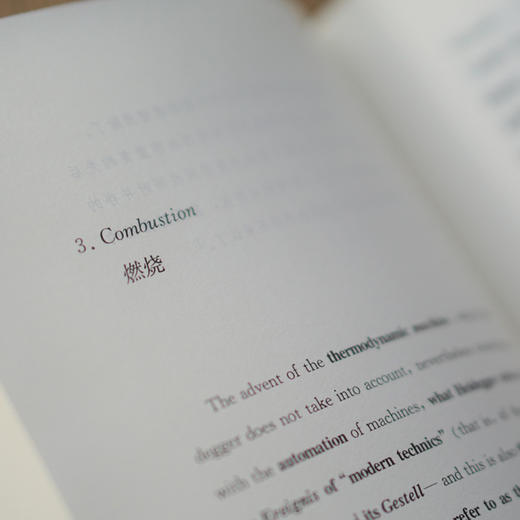 南京课程： 在人类纪时代阅读马克思和恩格斯—— 从《德意志意识形态》到《自然辩证法》 商品图4