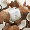 Cocobaba天然有机椰子身体油磨砂膏按摩慕斯 商品缩略图2