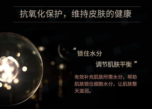 美国安利amway 雅姿恒时凝颜 爽肤水200MLJPY带授权招加盟代理 商品图3