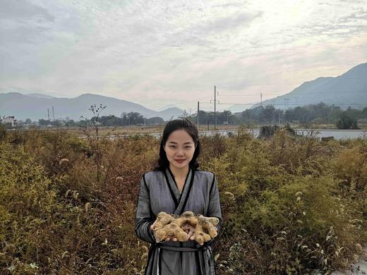 仙人余粮|九制黄精|美味软糯|营养丰富 代餐零食好吃 商品图3