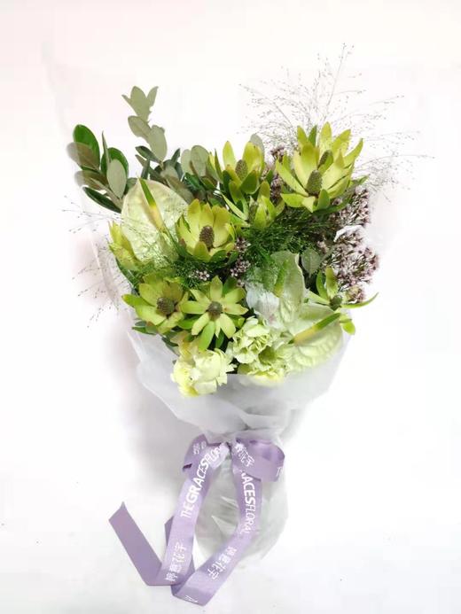 Enchanted Woods 商品图0