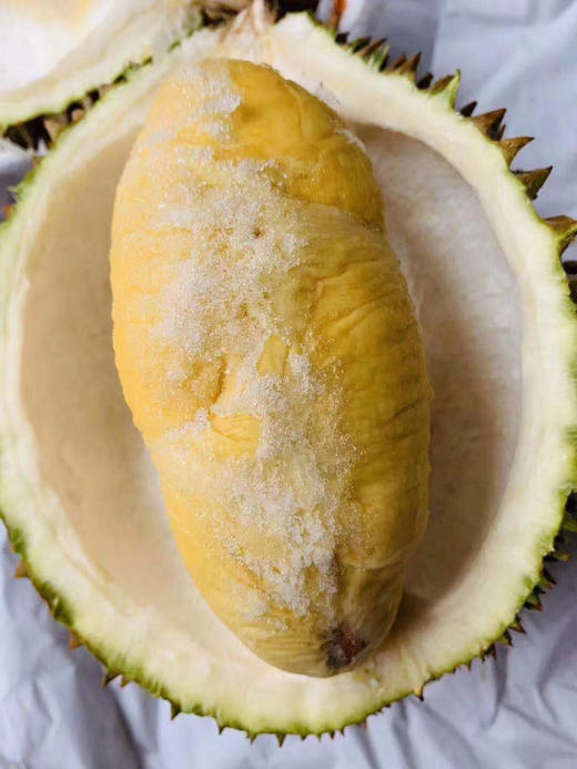 宏丰精选  马来西亚进口猫山王榴莲  新鲜榴莲 解冻就可以剥 商品图7