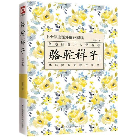 骆驼祥子 商品图0