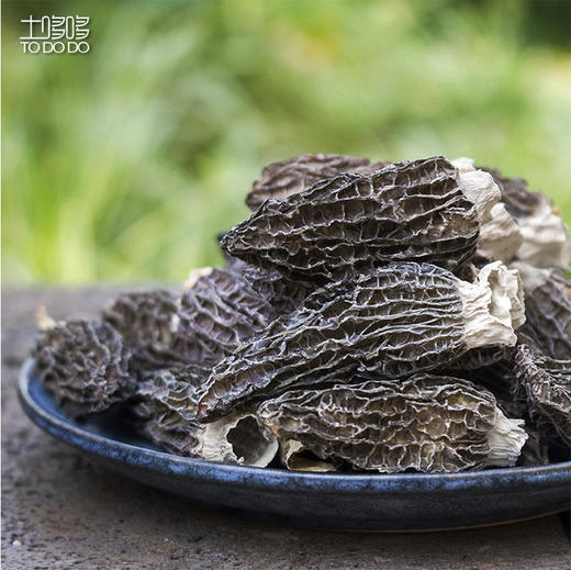 土哆哆云南精选特级干羊肚菌 无熏硫 剪柄 50克 商品图0