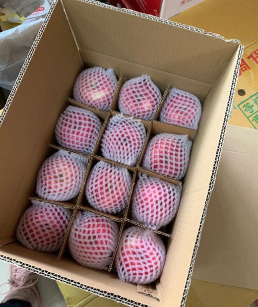 小红果 商品图1