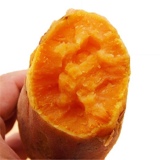 【限时拼团8.8元4斤】超甜糖心红薯 生红薯1袋(重约4斤)【当天提货】 商品图6