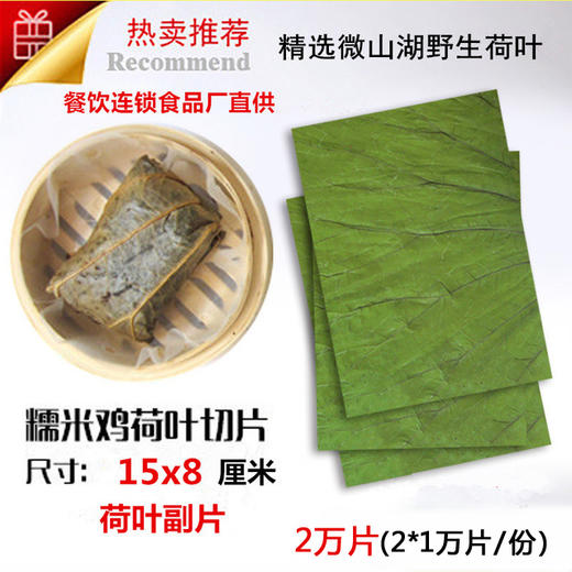 荷叶切片 15x8厘米 2万片 长方形矩形副片配合主叶使用包糯米鸡珍珠糯米鸡 商品图0