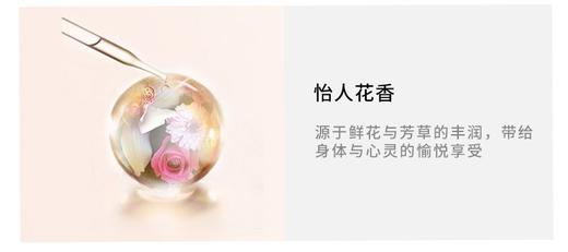 POLA/宝丽 FORM 馥美抗糖化洗发水550MLJPY带授权招加盟代理 商品图6