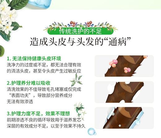 MOIST DIANE/黛丝恩 植萃洗发水 水润轻盈型 480MLJPY带授权招加盟代理 商品图8