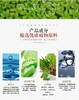 泰国At芦荟精华爽肤水 清爽保湿控油收毛孔 晒后修护化妆水JPY带授权招加盟代理 商品缩略图9