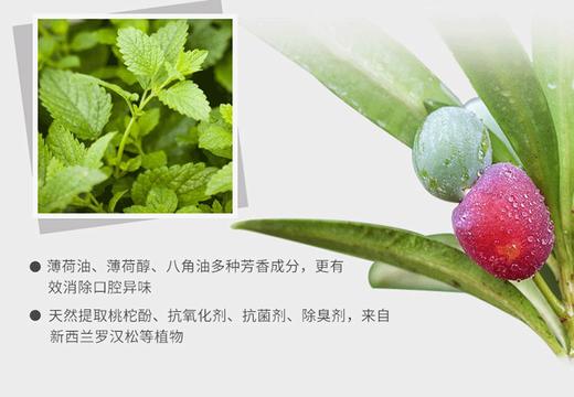 红印smokers烟民牙膏 100gJPY带授权招加盟代理 商品图3