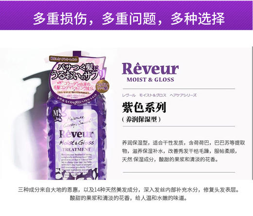 日本Reveur无硅植物滋养护发素500ml润泽保湿（紫瓶款）JPY带授权招加盟代理 商品图8