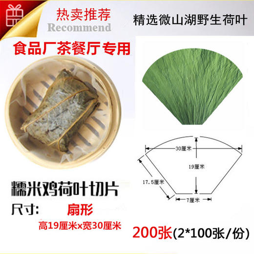 荷叶切片 扇形裁片 高19厘米宽30厘米 200 张 食品厂包荷叶糯米鸡 商品图0