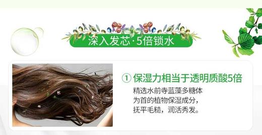 MOIST DIANE/黛丝恩 植萃洗发水 水润轻盈型 480MLJPY带授权招加盟代理 商品图13