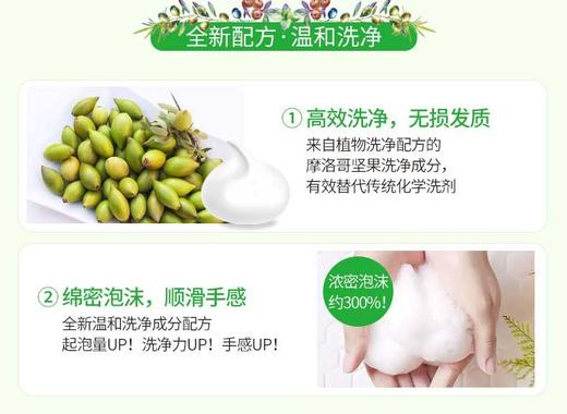 MOIST DIANE/黛丝恩 植萃护发素 水润轻盈型 480MLJPY带授权招加盟代理 商品图10