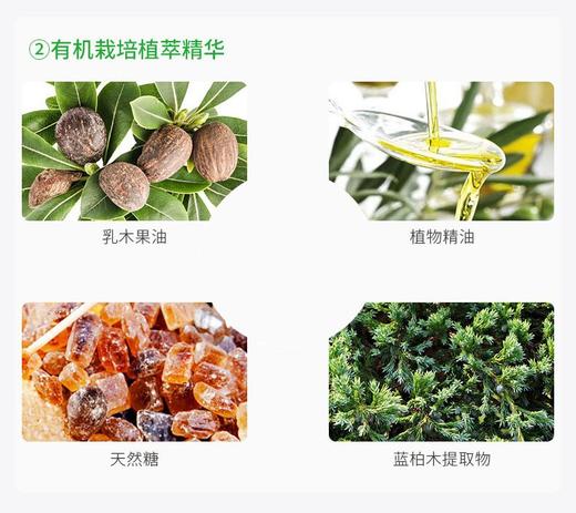 MOIST DIANE/黛丝恩 植萃护发素 水润轻盈型 480MLJPY带授权招加盟代理 商品图12