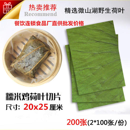 荷叶切片 20x25厘米 200张 微山湖精选野生荷叶做荷香糯米鸡 商品图0