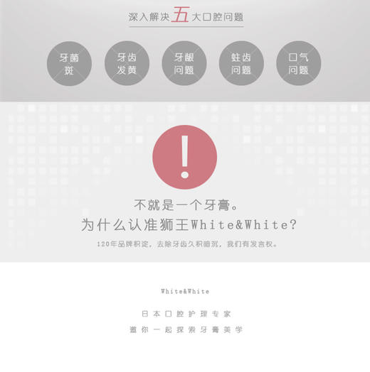 日本狮王White&&&&White 美白牙膏150gJPY带授权招加盟代理 商品图4