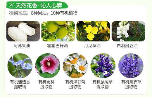MOIST DIANE/黛丝恩 植萃护发素 水润轻盈型 480MLJPY带授权招加盟代理 商品图11