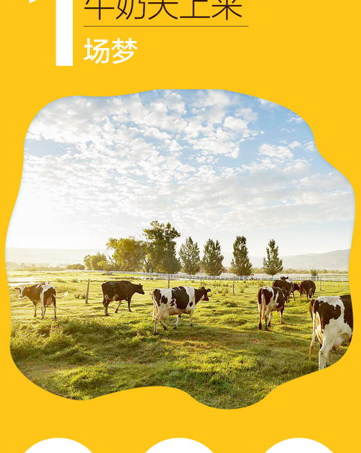 Somang所望 牛奶沐浴露750mlJPY带授权招加盟代理 商品图4