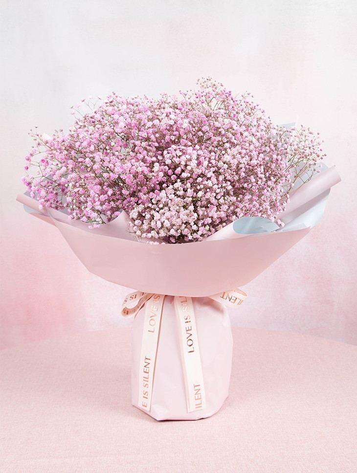 满天星满天星1扎全国鲜花速递同城鲜花店配送生日花北京上海杭州广州