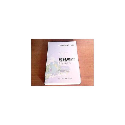 恩宠与勇气： 超越死亡 商品图3