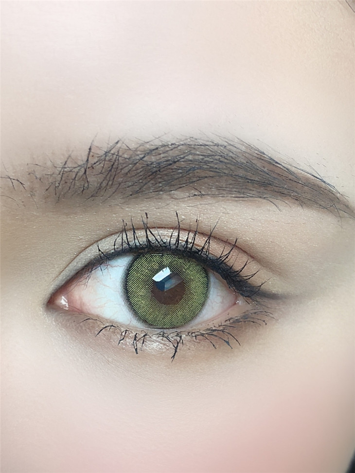 chonosmacaryellow橄榄茶棕