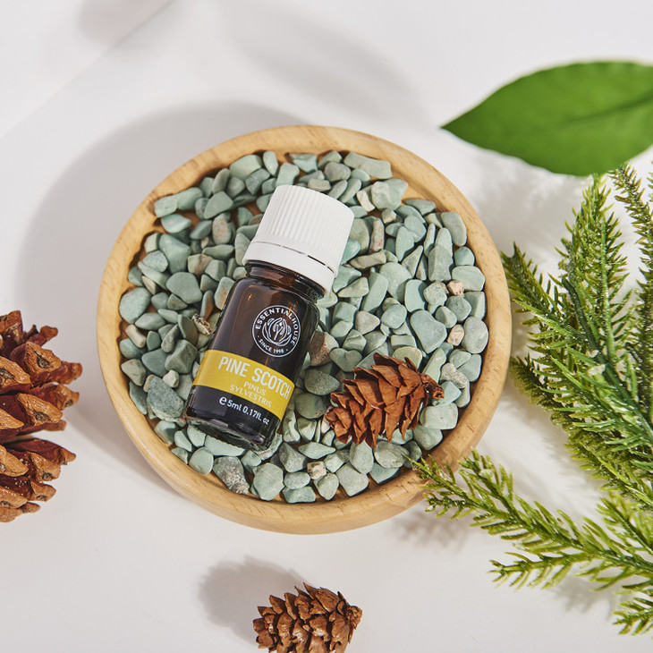 欧洲赤松精油 5ml