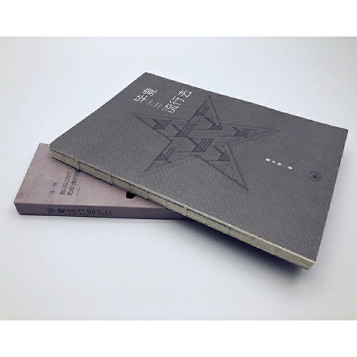 毕竟流行去（著名女作家翟永明倾心力作） 商品图4