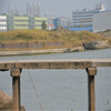 【单身专题】11.9找寻遗失的古迹：中国大运河遗产点古纤道(苏州) 商品缩略图1
