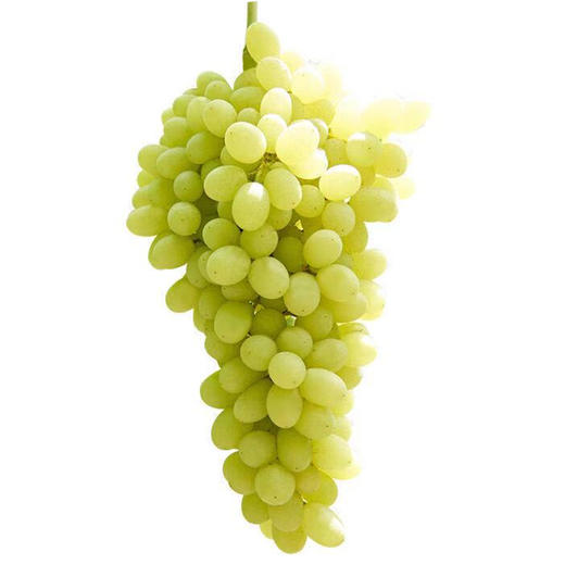 新疆无核白葡萄500g(纯甜)