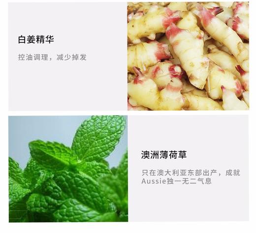 Aussie/袋鼠 蓬松控油 两洗一护套装JPY带授权招加盟代理 商品图5
