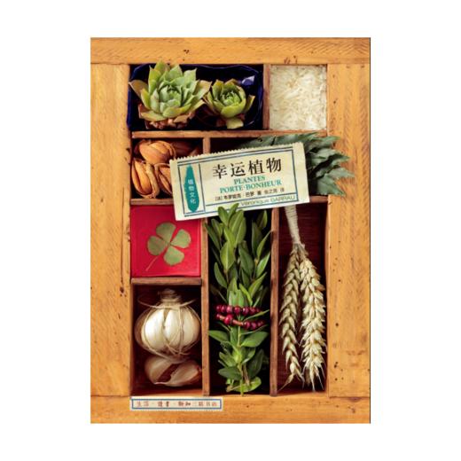 植物文化：幸运植物 商品图2