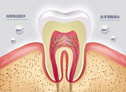 韩国皓蓝泵乐儿童牙膏（苹果味）80g/2支每组JPY带授权招加盟代理 商品图8