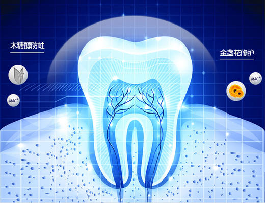 韩国皓蓝泵乐儿童牙膏（苹果味）80g/2支每组JPY带授权招加盟代理 商品图11