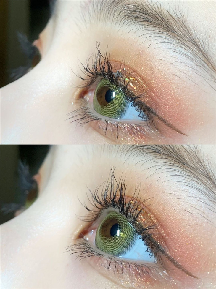 chonosmacaryellow橄榄茶棕