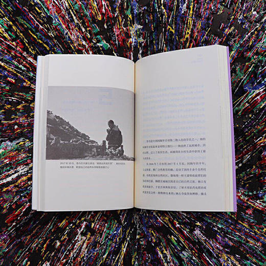 间隔年：给青春一场壮行 商品图4