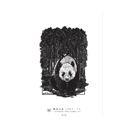 新知文库100·来自中国的礼物：大熊猫与人类相遇的100年 商品图4